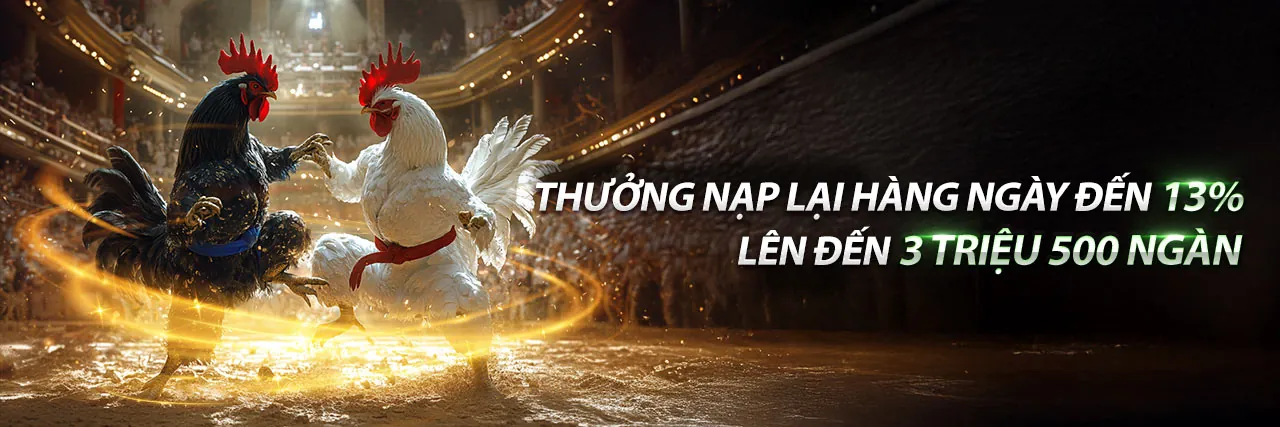 Sòng bạc trực tuyến 123b thể thao với dealer người thật và không khí sôi động